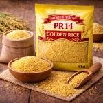 Pusan Golden Sella Rice (VSR004)
